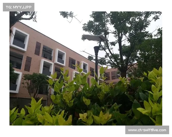 曼联恶搞文案短句,带给你一抹清新的治愈 曼联恶搞文案短句,带给你一抹清新的治愈